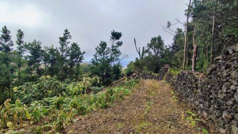 TERRENO para VENDA - São Vicente Ferreira, Ponta Delgada, Ilha de São Miguel, Açores