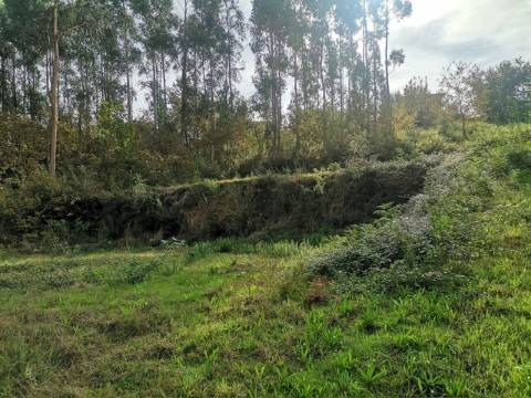 Terreno - Castelões