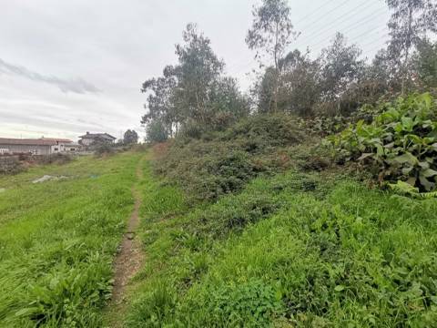 Terreno c/ 5.000 m2 - Pedome