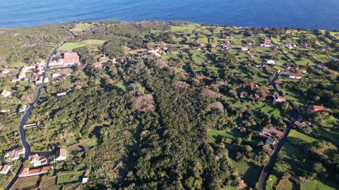 VENDE-SE TERRENO RÚSTICO EM SANTO ANTÓNIO, SÃO ROQUE DO PICO