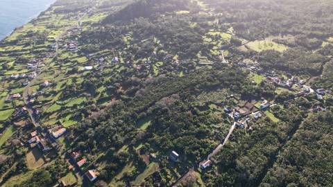 VENDE-SE TERRENO RÚSTICO EM SANTO ANTÓNIO, SÃO ROQUE DO PICO