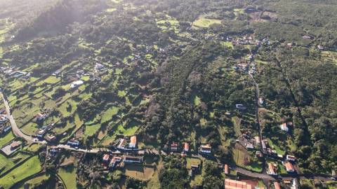 VENDE-SE TERRENO RÚSTICO EM SANTO ANTÓNIO, SÃO ROQUE DO PICO