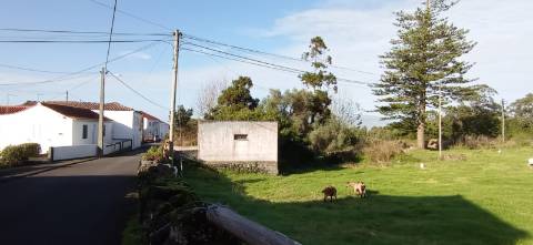 TERRENOS NAS SETE CIDADES, MADALENA DO PICO
