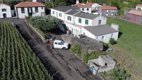 VENDE-SE QUINTA EM SÃO ROQUE DO PICO