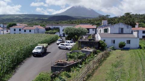 VENDE-SE QUINTA EM SÃO ROQUE DO PICO