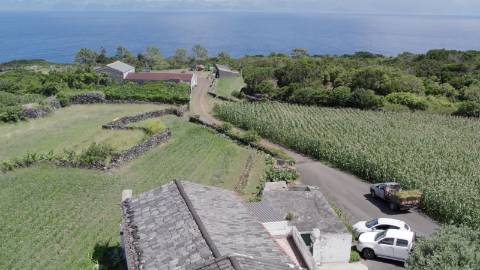 VENDE-SE QUINTA EM SÃO ROQUE DO PICO