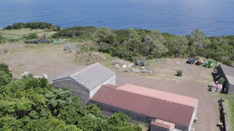 VENDE-SE QUINTA EM SÃO ROQUE DO PICO