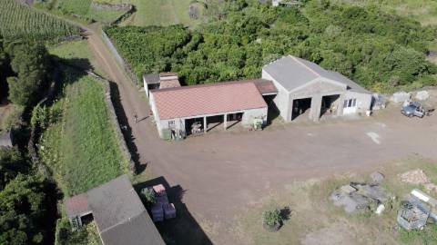 VENDE-SE QUINTA EM SÃO ROQUE DO PICO