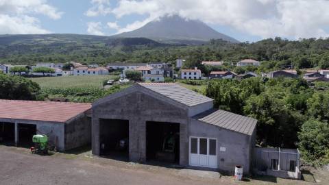 VENDE-SE QUINTA EM SÃO ROQUE DO PICO
