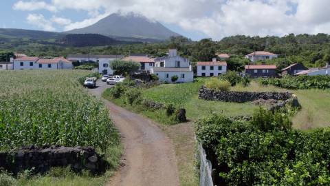 VENDE-SE QUINTA EM SÃO ROQUE DO PICO
