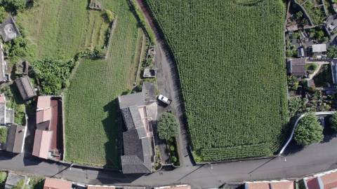 VENDE-SE QUINTA EM SÃO ROQUE DO PICO