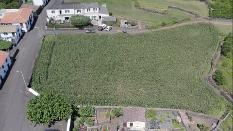 VENDE-SE QUINTA EM SÃO ROQUE DO PICO