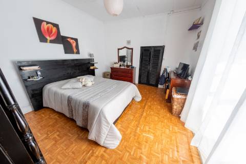 VENDE-SE QUINTA EM SÃO ROQUE DO PICO