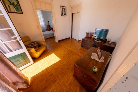 VENDE-SE QUINTA EM SÃO ROQUE DO PICO