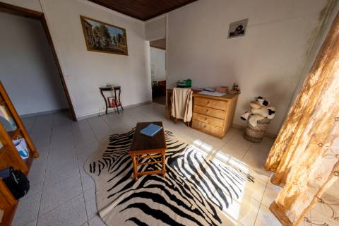 VENDE-SE QUINTA EM SÃO ROQUE DO PICO