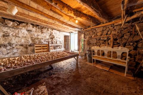 VENDE-SE QUINTA EM SÃO ROQUE DO PICO