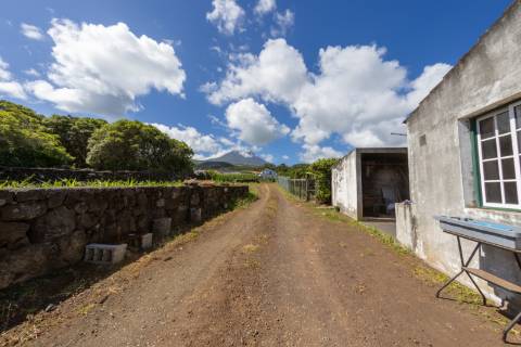 VENDE-SE QUINTA EM SÃO ROQUE DO PICO