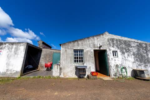 VENDE-SE QUINTA EM SÃO ROQUE DO PICO