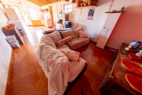 VENDE-SE QUINTA EM SÃO ROQUE DO PICO