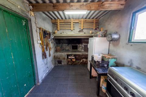 VENDE-SE QUINTA EM SÃO ROQUE DO PICO