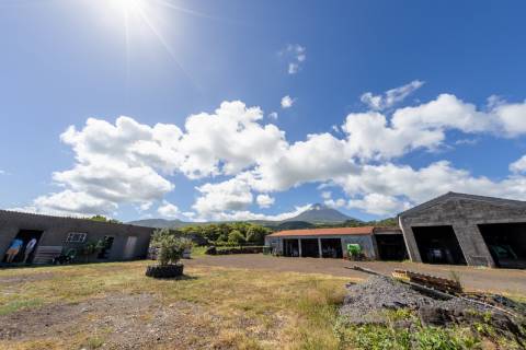 VENDE-SE QUINTA EM SÃO ROQUE DO PICO