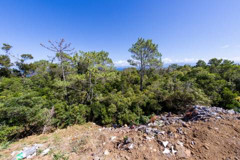 VENDE-SE QUINTA EM SÃO ROQUE DO PICO