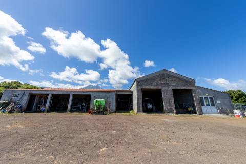 VENDE-SE QUINTA EM SÃO ROQUE DO PICO