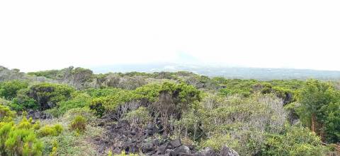 TERRENO RÚSTICO PARA VENDA - ROCHINHA, BANDEIRAS