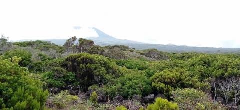 TERRENO RÚSTICO PARA VENDA - ROCHINHA, BANDEIRAS