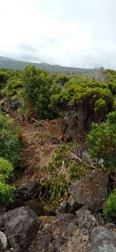 TERRENO RÚSTICO PARA VENDA - ROCHINHA, BANDEIRAS