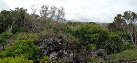 TERRENO RÚSTICO PARA VENDA - ROCHINHA, BANDEIRAS