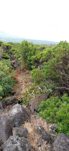 TERRENO RÚSTICO PARA VENDA - ROCHINHA, BANDEIRAS