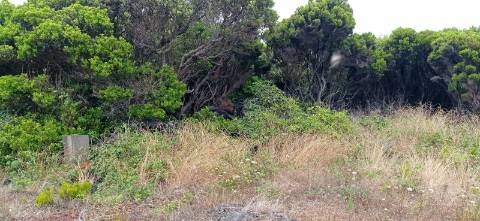TERRENO RÚSTICO PARA VENDA - ROCHINHA, BANDEIRAS