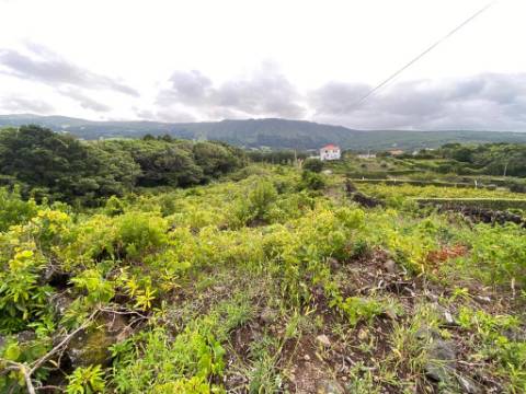 VENDE-SE TERRENO COM ADEGA EM SÃO ROQUE DO PICO
