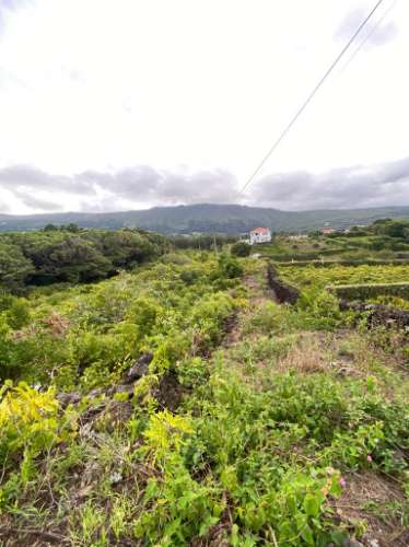 VENDE-SE TERRENO COM ADEGA EM SÃO ROQUE DO PICO