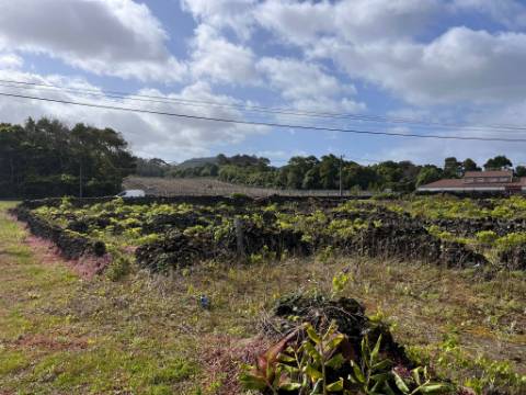 VENDE-SE TERRENO RÚSTICO NA MADALENA DO PICO