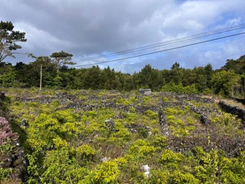 VENDE-SE TERRENO RÚSTICO NA MADALENA DO PICO