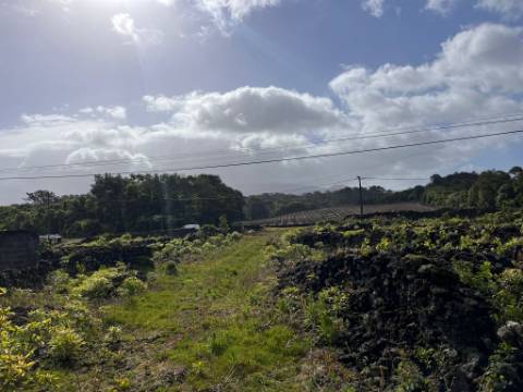 VENDE-SE TERRENO RÚSTICO NA MADALENA DO PICO