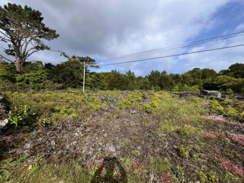 VENDE-SE TERRENO RÚSTICO NA MADALENA DO PICO