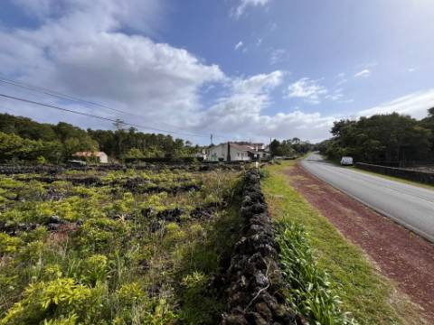 VENDE-SE TERRENO RÚSTICO NA MADALENA DO PICO