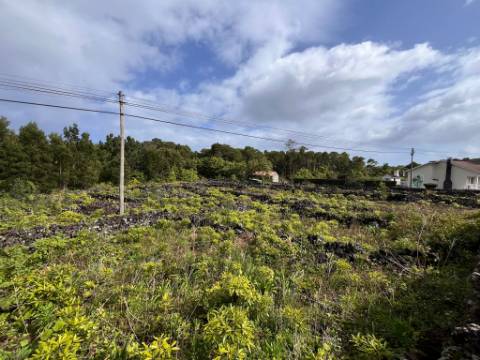 VENDE-SE TERRENO RÚSTICO NA MADALENA DO PICO
