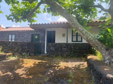 VENDE-SE ADEGA INSERIDA NUMA PEQUENA VINHA EM SANTO ANTÓNIO, SÃO ROQUE DO PICO