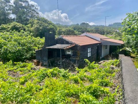 VENDE-SE ADEGA INSERIDA NUMA PEQUENA VINHA EM SANTO ANTÓNIO, SÃO ROQUE DO PICO