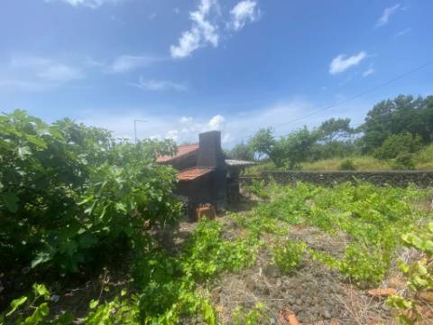 VENDE-SE ADEGA INSERIDA NUMA PEQUENA VINHA EM SANTO ANTÓNIO, SÃO ROQUE DO PICO