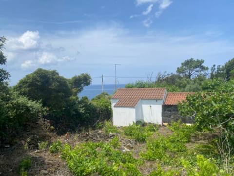 VENDE-SE ADEGA INSERIDA NUMA PEQUENA VINHA EM SANTO ANTÓNIO, SÃO ROQUE DO PICO