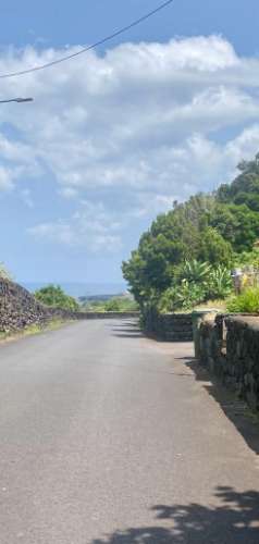 VENDE-SE ADEGA INSERIDA NUMA PEQUENA VINHA EM SANTO ANTÓNIO, SÃO ROQUE DO PICO