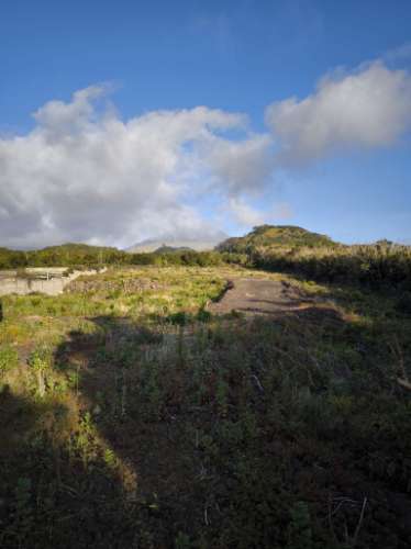 VENDE-SE TERRENO RÚSTICO COM PROJETO DE CONSTRUÇÃO NA CRIAÇÃO VELHA, MADALENA DO PICO