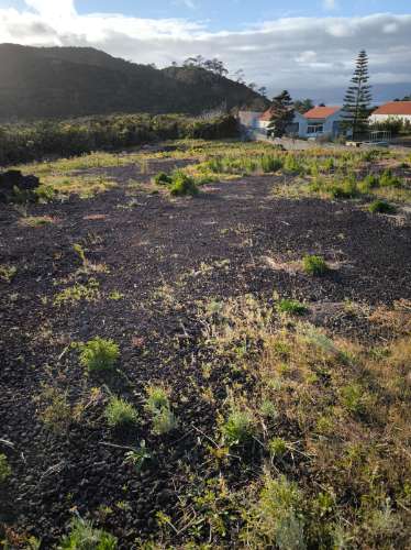 VENDE-SE TERRENO RÚSTICO COM PROJETO DE CONSTRUÇÃO NA CRIAÇÃO VELHA, MADALENA DO PICO