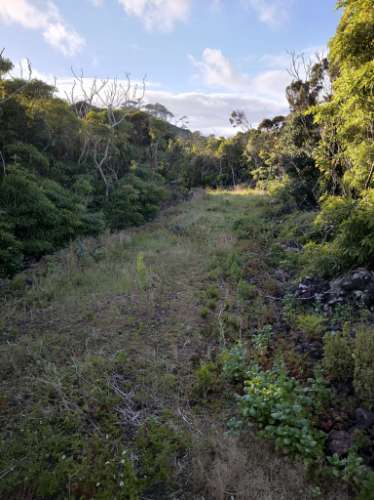 VENDE-SE TERRENO RÚSTICO COM PROJETO DE CONSTRUÇÃO NA CRIAÇÃO VELHA, MADALENA DO PICO