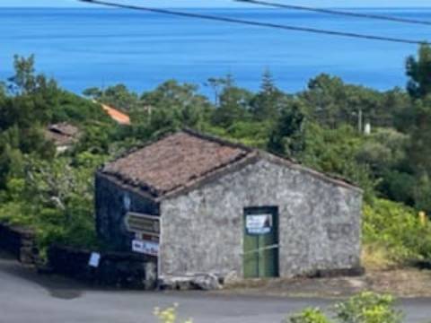 VENDE-SE TIPICA LOJA PICAROTA, SANTA LUZIA, SÃO ROQUE DO PICO